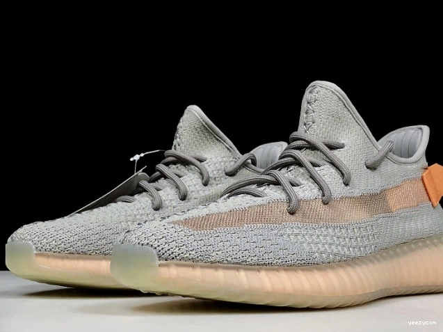 V2 Form Yeezy 350 Boost EG7492 Adidas True 0819